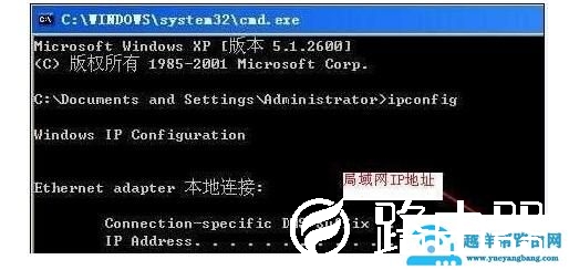 如何查看电脑本机ip?