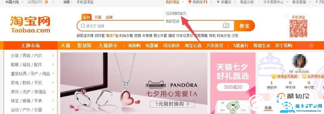 怎么查看在淘宝网上总共花了多少钱