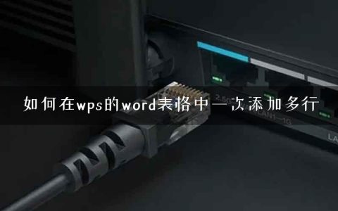 如何在wps的word表格中一次添加多行