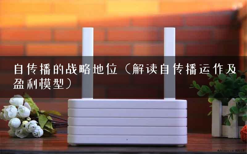 自传播的战略地位（解读自传播运作及盈利模型）