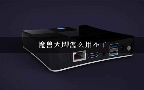魔兽大脚怎么用不了