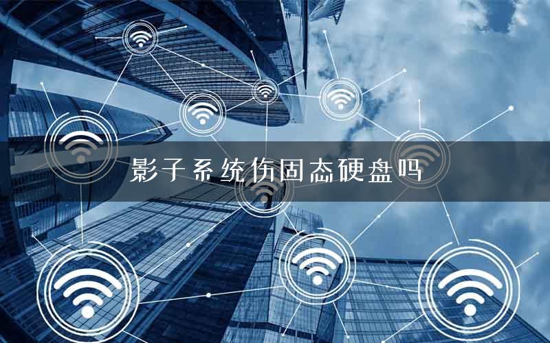 影子系统伤固态硬盘吗