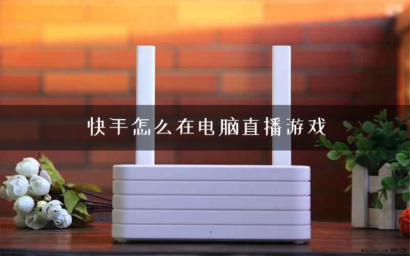 快手怎么在电脑直播游戏