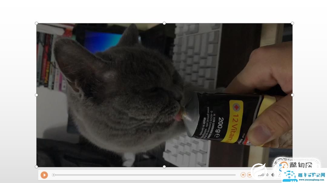 Word中如何插入视频