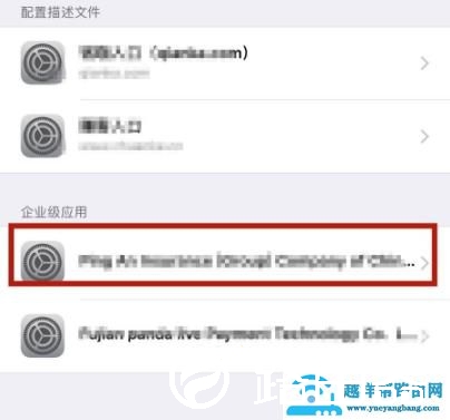 ios14软件信任设置方法