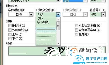 word如何加双下划线