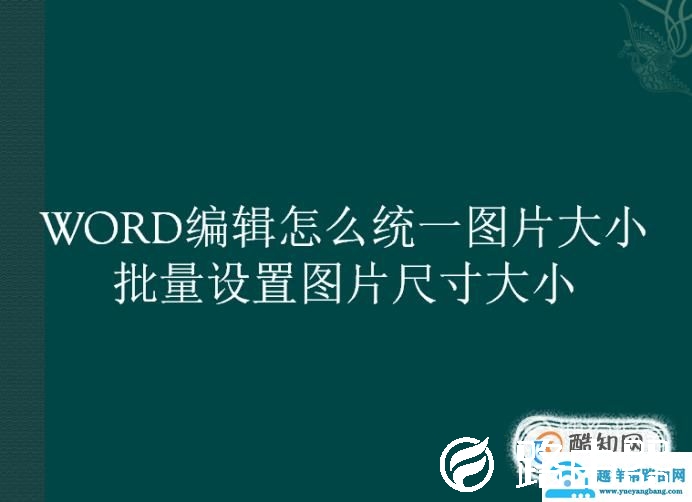 WORD编辑怎么统一图片大小批量设置图片尺寸大小