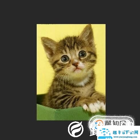怎么用PS将图片做成动态？