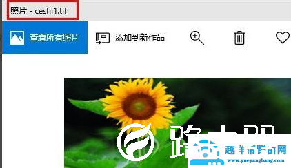 TIF格式如何打开