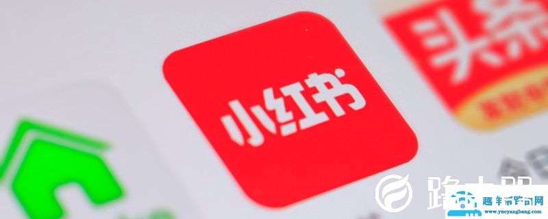 小红书订单在哪看