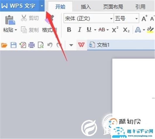 WPS文字如何输入带圈字符