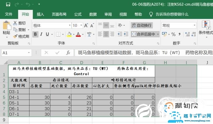 怎样学电脑制表