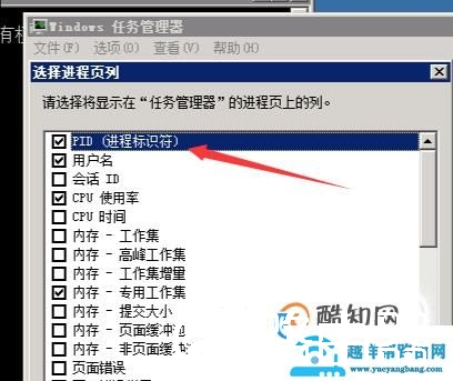 如何查看某个端口被谁占用