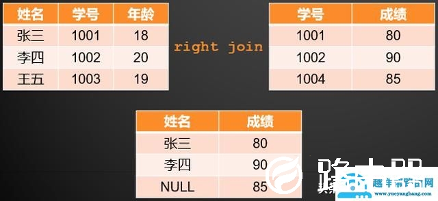 mysql数据库查询语句（mysql常用的查询语句）(22)