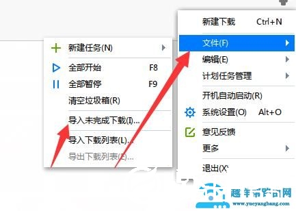 迅雷导入未完成下载解决方法