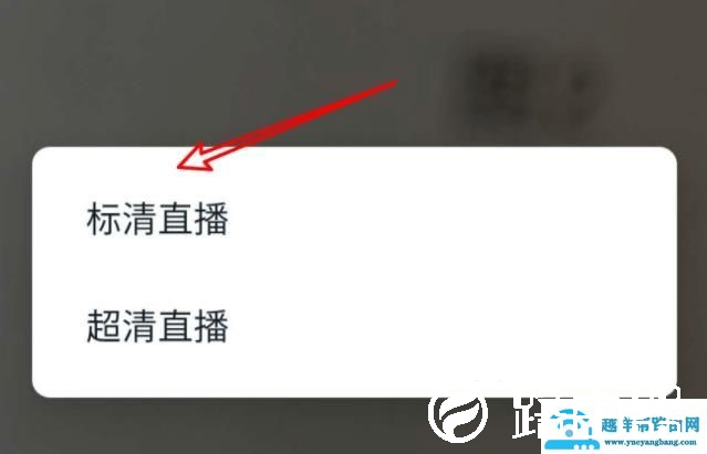 钉钉直播网络有延迟怎么办