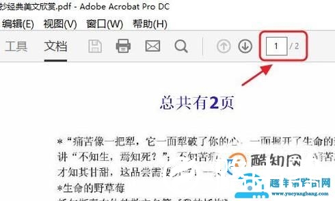 怎么样在PDF中调换页面的顺序？
