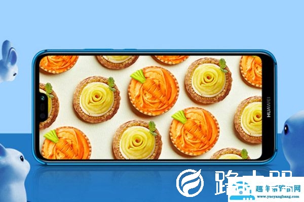 华为p20lite是什么型号