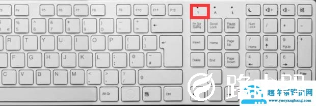 键盘右侧的数字输入不了怎么办
