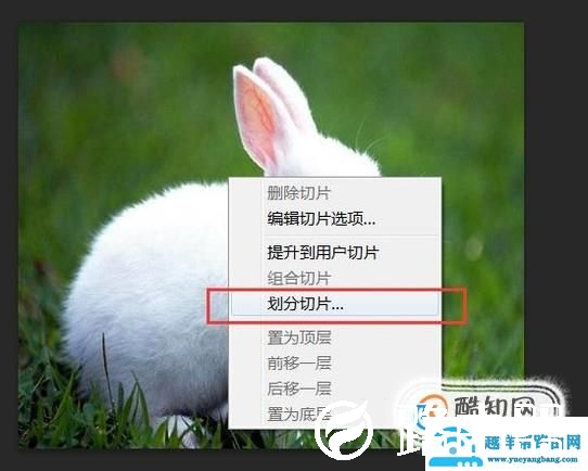 用PS如何把一张图片x等分