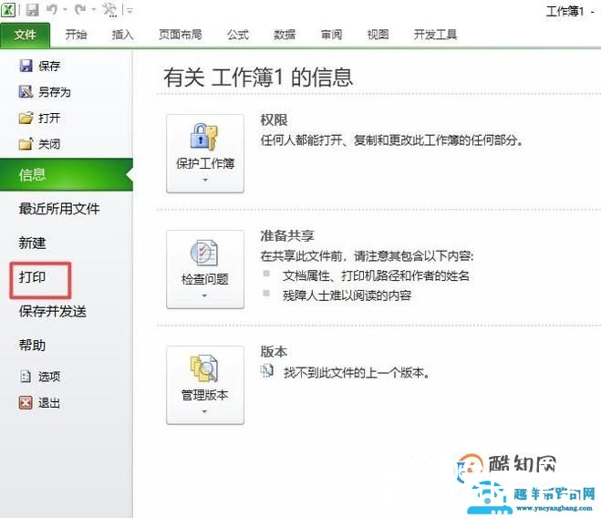 Excel2010打印时如何调整格式