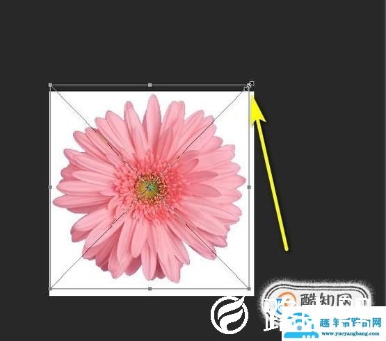 ps中怎么缩放图片大小？