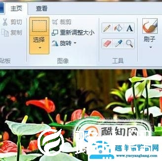 电脑系统自带的画图软件如何裁剪图片？