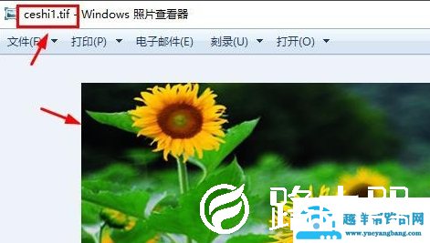 TIF格式如何打开