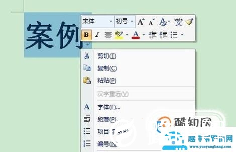 word如何加双下划线