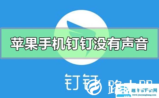 苹果手机钉钉没有声音怎么设置