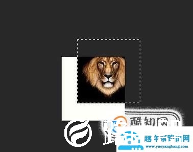 怎么用PS做寸照？