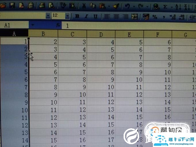 Excel怎么拖动整行和整列及其行列错位处理