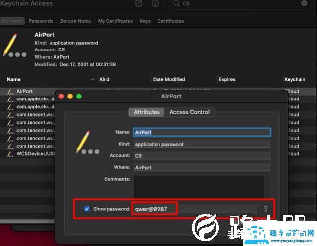 怎样看苹果手机无线网密码（苹果手机怎样查看已连接wifi密码）(7)