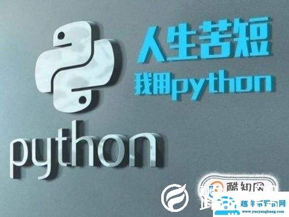 新手如何学习python