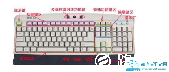 怎样学电脑打字最快电脑新手如何快速学会打字