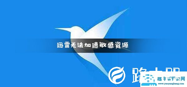 迅雷无法加速敏感资源