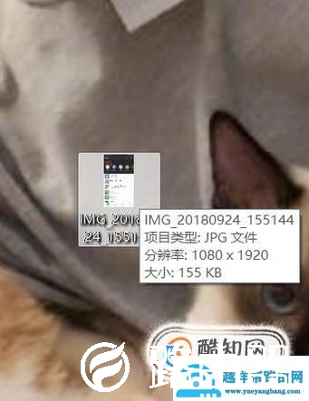 怎样快速删除电脑桌面上多余的文件