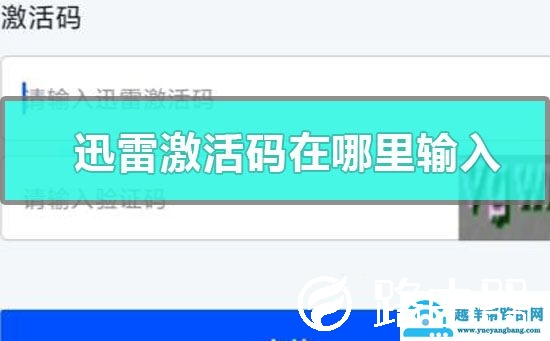 迅雷激活码在哪里输入