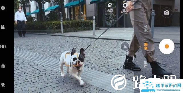 vivo x50介绍及相关信息大全
