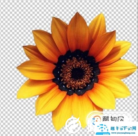怎么用PS魔棒抠图