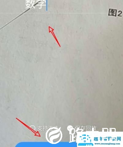 钉钉直播网络有延迟怎么办