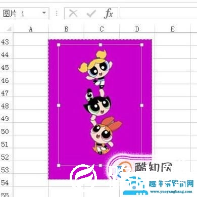 excel里如何为照片换背景色