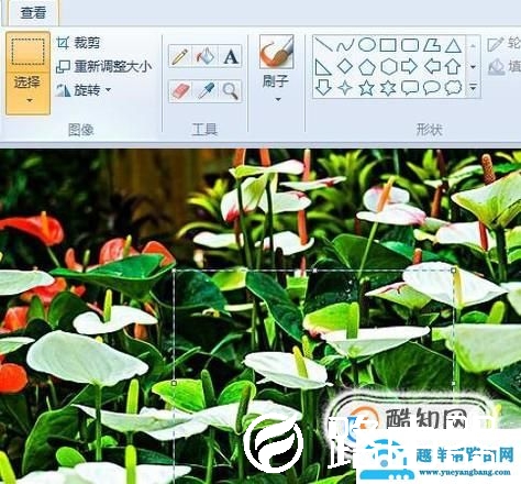 电脑系统自带的画图软件如何裁剪图片？
