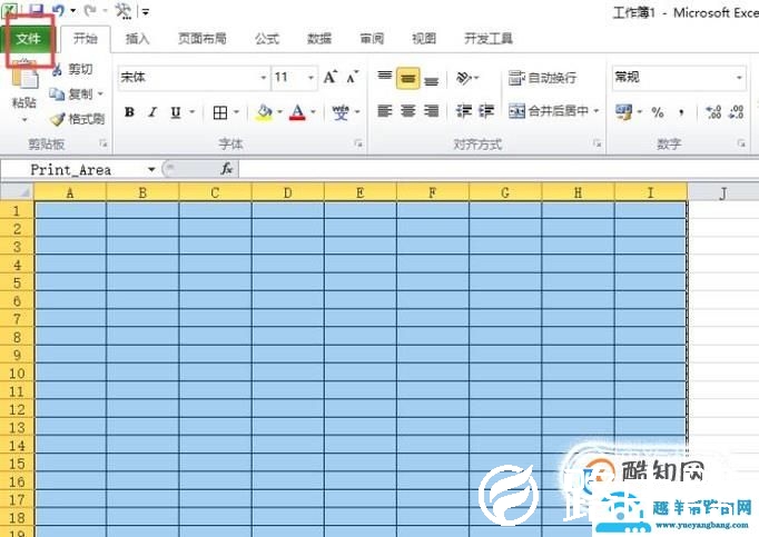 Excel2010打印时如何调整格式