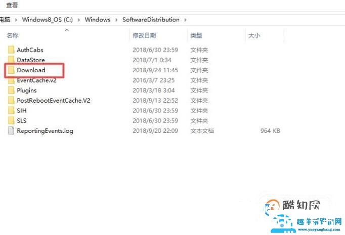 怎么删除Win10更新安装包
