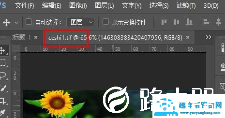 TIF格式如何打开