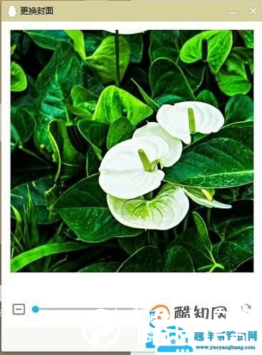 QQ背景皮肤怎么弄