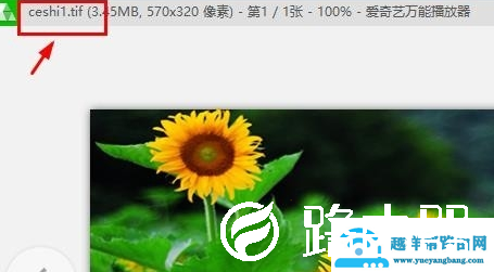 TIF格式如何打开