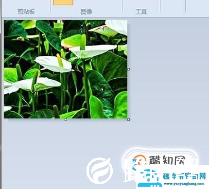 电脑系统自带的画图软件如何裁剪图片？