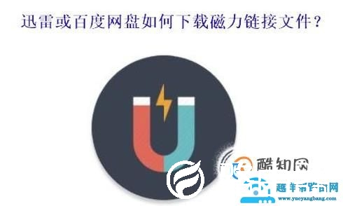 迅雷、百度网盘如何下载BT或磁力链接资源？